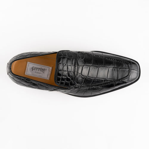 Alligator 3877