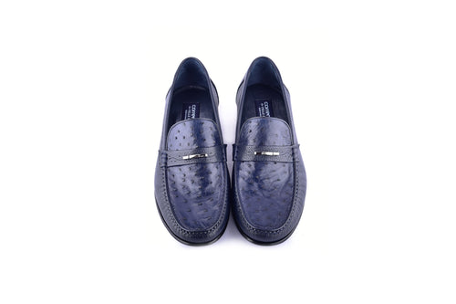 C0014052-3898Ost- Genuine Ostrich- Navy