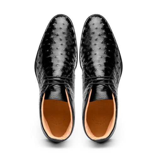 Zelli Marco Genuine Ostrich Quill Lace-Up Chukka Boots in Black