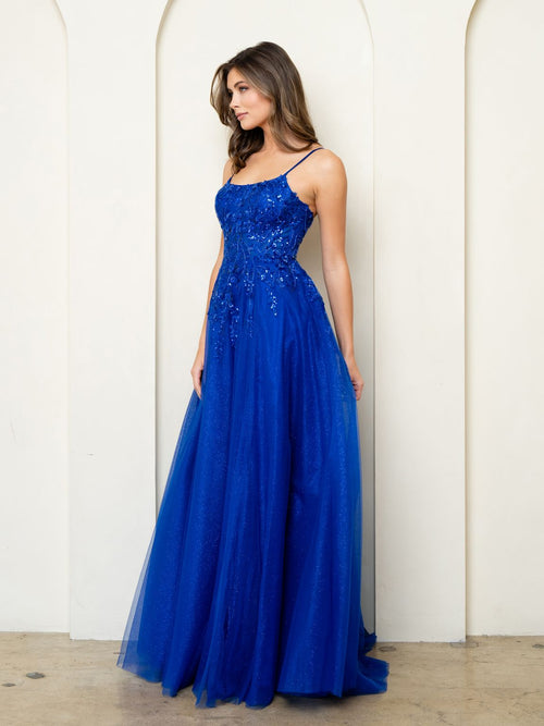 Eva USA EV5295 Sequin Beaded Bodice Tulle Ball Dress