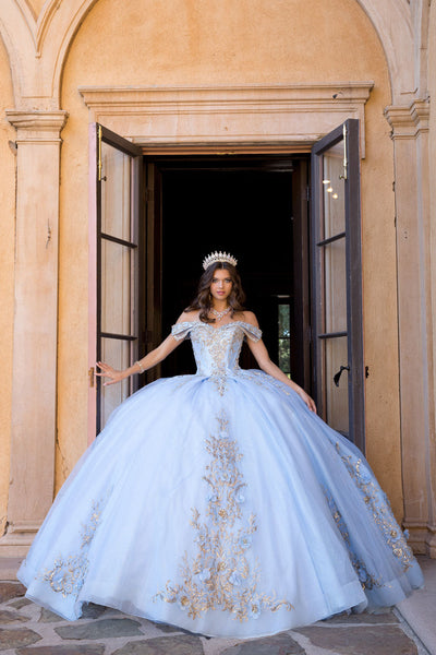 Off Shoulder Ball Gown by Bella Princess PQ1068