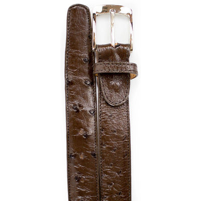 Mens Ostrich Quill Dress Belt in Brown by Belvedere Shoes