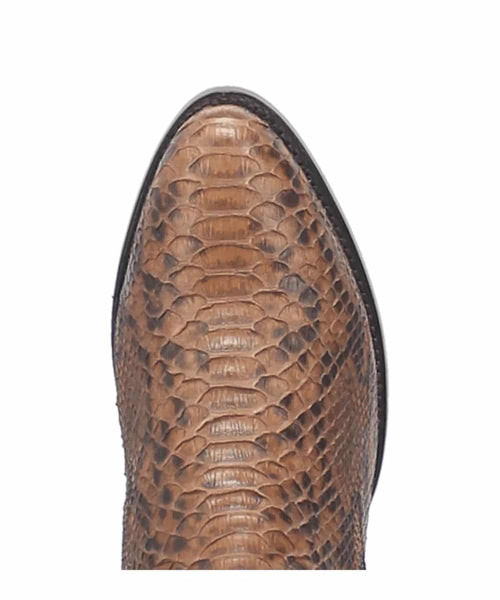 MANNING PYTHON BOOT