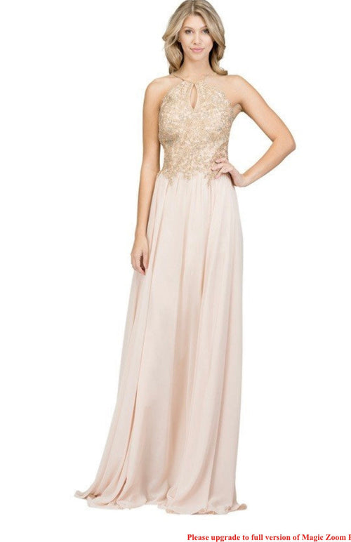 Chicas C1521 Printed Evening A-Line Floral Floor-Length Beaded Chiffon Dress