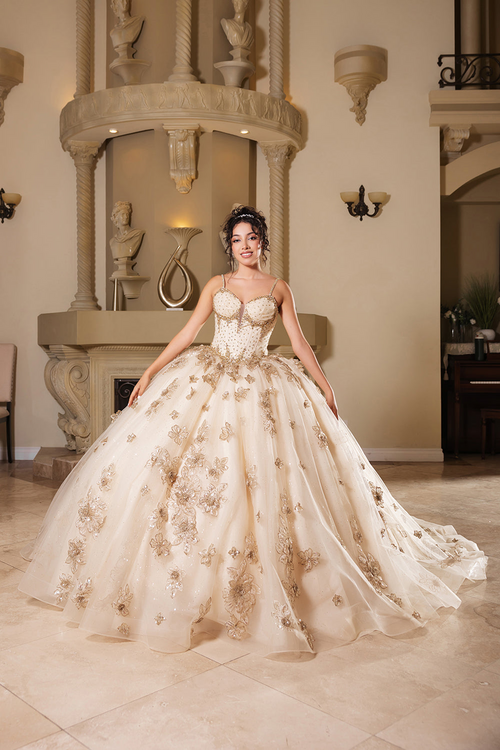 Germoso vestido - Vestidos de 15 aƱos LK282 Floral QuinceaƱera Ball Gown with Beaded Corset Bodice
