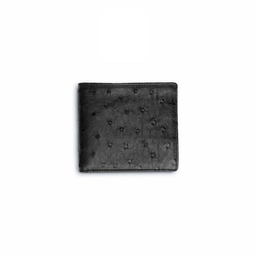 Ferrini Full Quill Ostrich Hipster Black by Ferrini USA