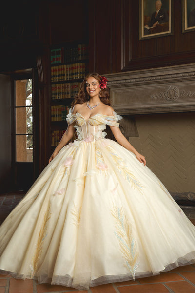Off Shoulder Corset Ball Gown by Bella Princess PQ1088