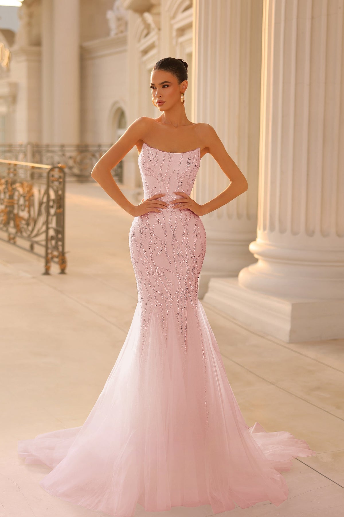 Tina Holly TK807 Prom Strapless Beaded Train Flowy Evening Lace Mesh Dress