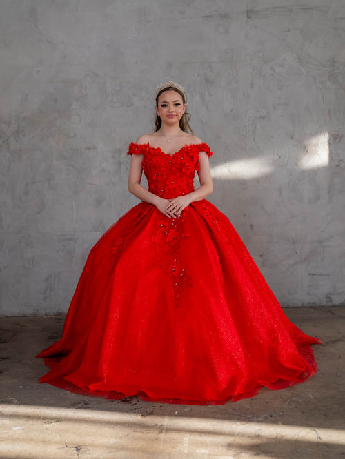 3D Floral Embroidered Quinceanera Dress Off Shoulder Ball Gown by Calla WB21551