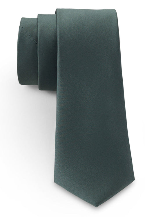 Sage Solid Satin Silk Necktie by Allure Men