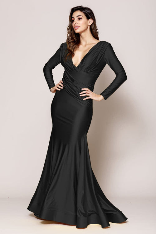 Long Sleeve Stretchy Evening Dress V-Neck Mermaid Simple Evening Prom Gown