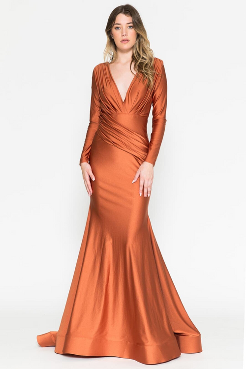 Long Sleeve Stretchy Evening Dress V-Neck Mermaid Simple Evening Prom Gown