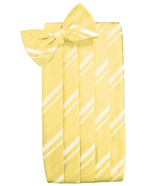 Sunbeam Striped Satin Cummerbund by Cardi