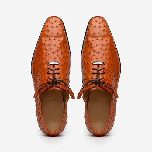 Marco Di Milano Criss Ostrich Quill Dress Oxfords Brandy