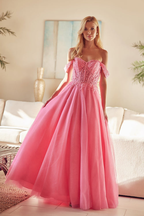 Juliet 280 Embroidered Illusion Bodice Glitter Tulle Off Shoulder Dress