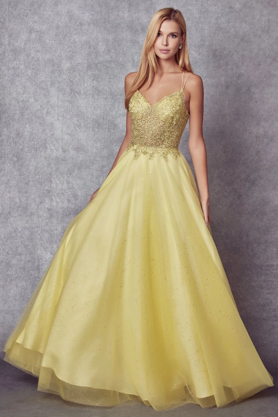 Embroidered Tulle Sparkle Gown by Juliet 268