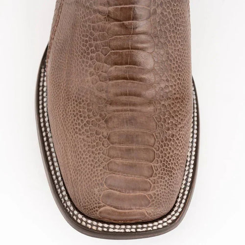 Ferrini Nash - Ostrich Leg