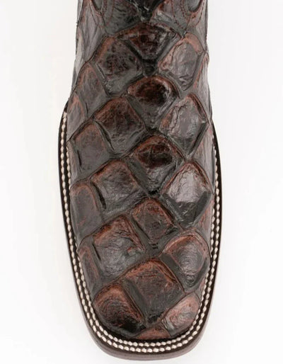 Ferrini Women's Bronco Square Toe Boots Pirarucu Fish Print - Chocolate Ferrini USA