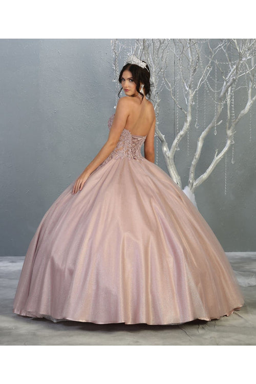 Sweet 16/15 Ball Gown And Plus Size