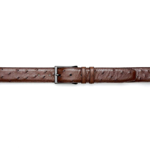 Mezlan Ostrich Skin Belt