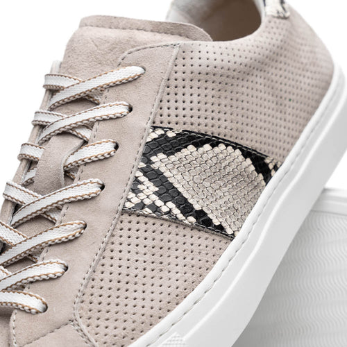 Zelli Olympias Python and Sueded Goatskin Luxury Sneakers in Grey