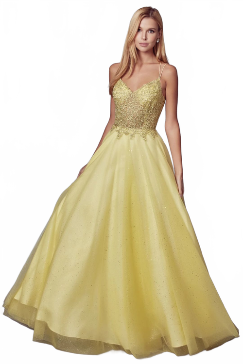 Embroidered Tulle Sparkle Gown by Juliet 268