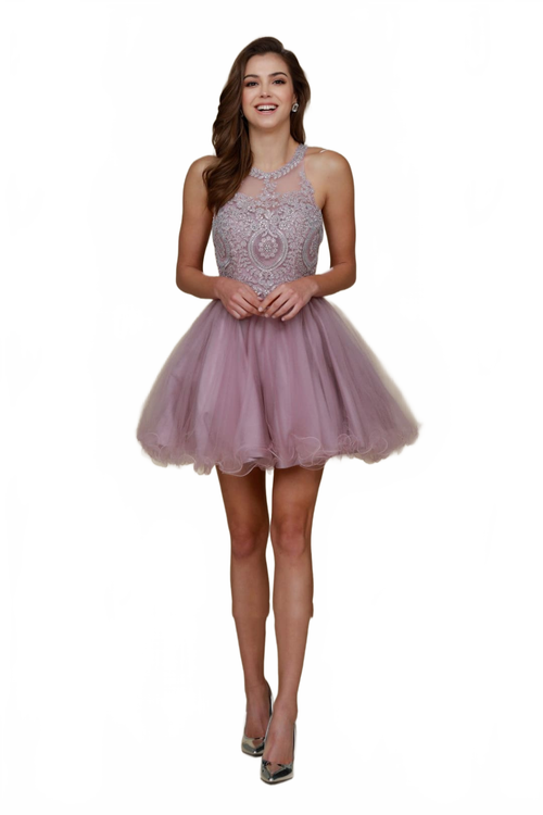 Nox Anabel B652 Light-Mauve Dama Dresses for Quinceanera Outfit
