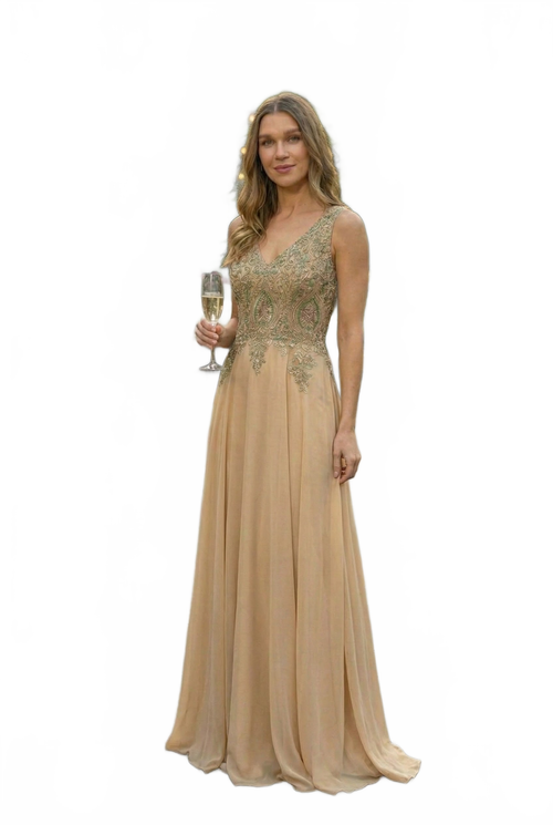 Embroidered Chiffon Dress by Elizabeth K GL2311