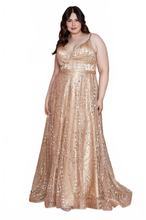 Poly USA W1004 Plus Size Long Glitter Mesh Dress