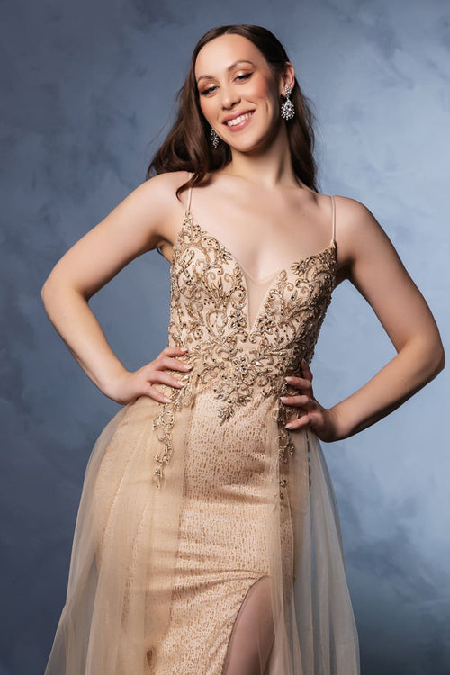 Red Carpet Dress V-Neck Mermaid Gala Gown by May Queen MQ2125