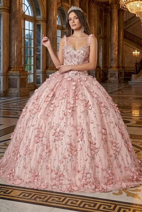 Blush Quinceanera Dress 3D Applique Sleeveless Ball Gown by Elizabeth K GL1959