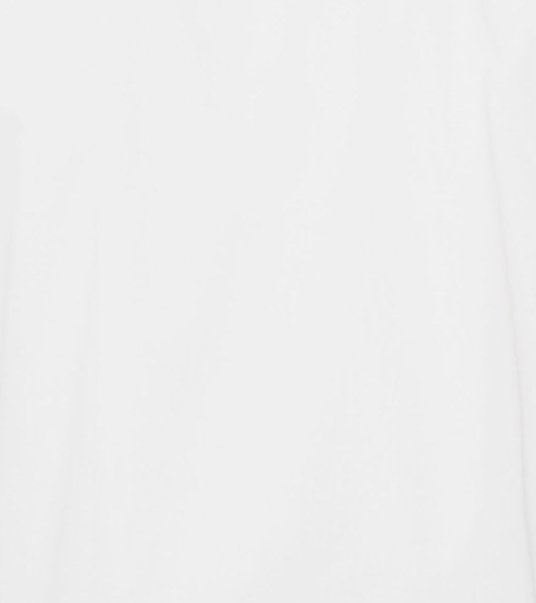DUNNE DRESS SHIRT Spread Collar