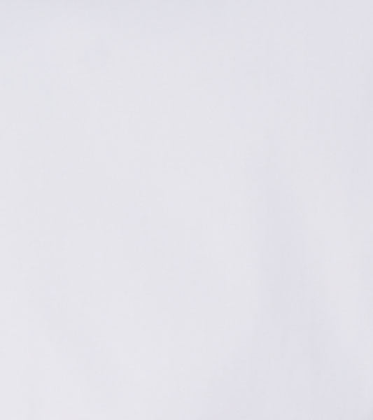 WESTCOTT DRESS SHIRT Spread Collar