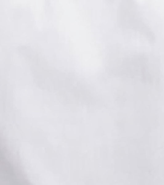 CARSON DRESS SHIRT Point Collar