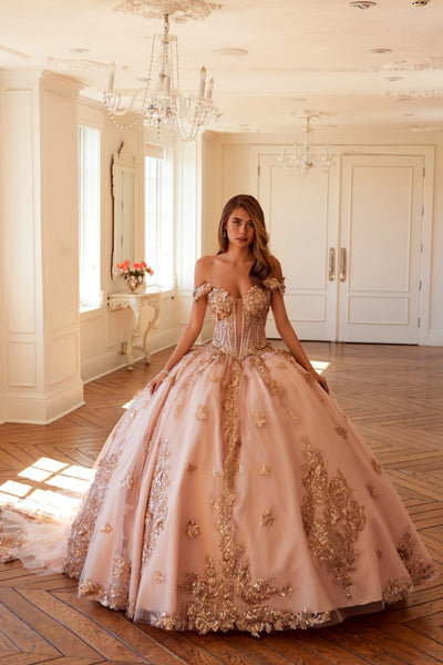 3D Butterfly Off Shoulder Ball Gown by Juliet JT1485J