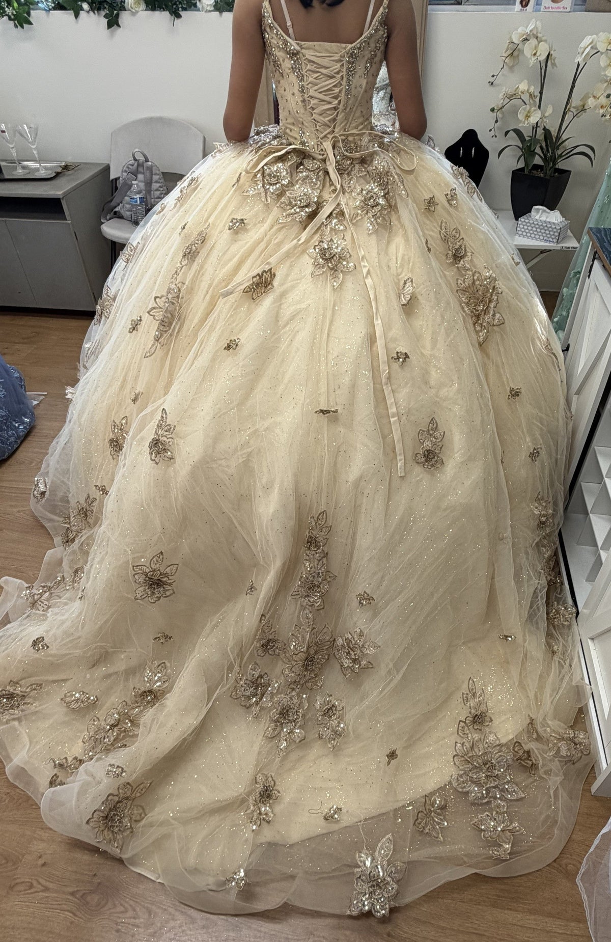 Germoso vestido - Vestidos de 15 años LK282 Floral Quinceañera Ball Gown with Beaded Corset Bodice