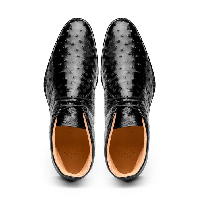 Zelli Marco Genuine Ostrich Quill Lace-Up Chukka Boots in Black