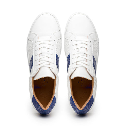 Zelli Olympias Crocodile-Trimmed Calfskin Sneakers in White and Navy