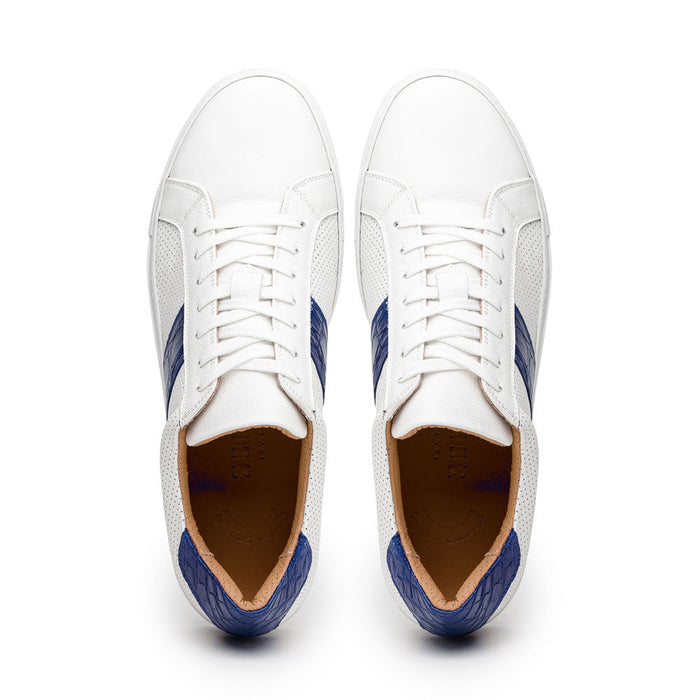 Zelli Olympias Crocodile-Trimmed Calfskin Sneakers in White and Navy