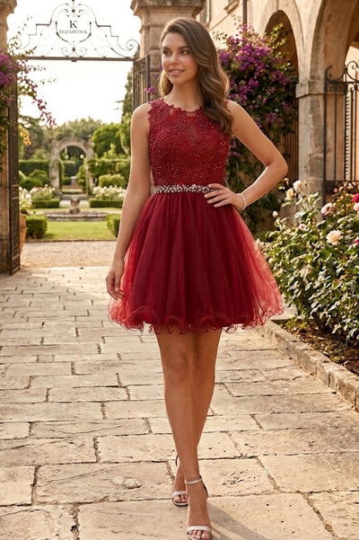 Short Sleeveless Lace Bodice Dress by Elizabeth K GS2375