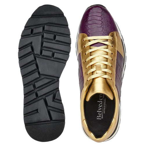 Belvedere Blake - Black/Gold