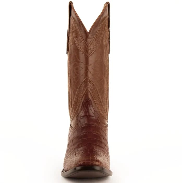 Ferrini Stallion - American Alligator
