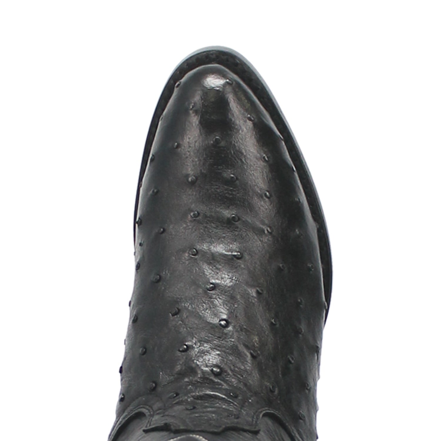 Dan Post Tempe Ostrich Boots - Full Quill Exotic Luxury