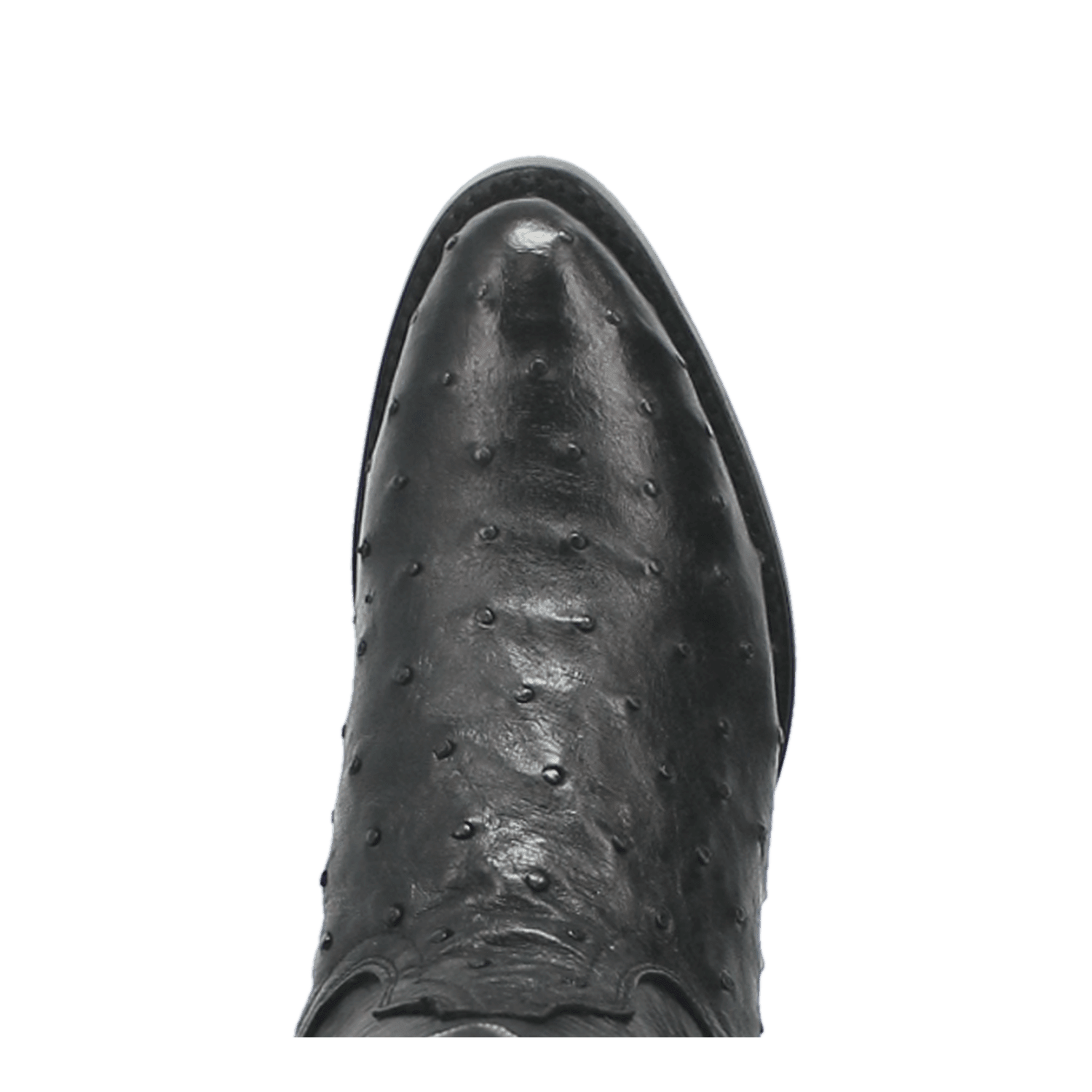 Dan Post Tempe Ostrich Boots - Full Quill Exotic Luxury