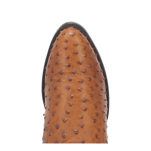 Dan Post Tempe Ostrich Boot - Full Quill Luxury Western