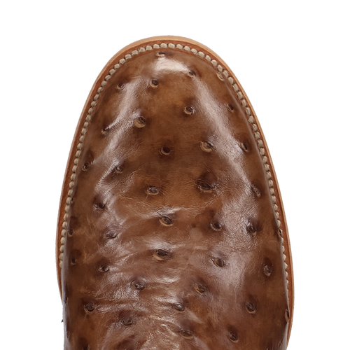 Dan Post Ardor Ostrich Boot - Full Quill Leather