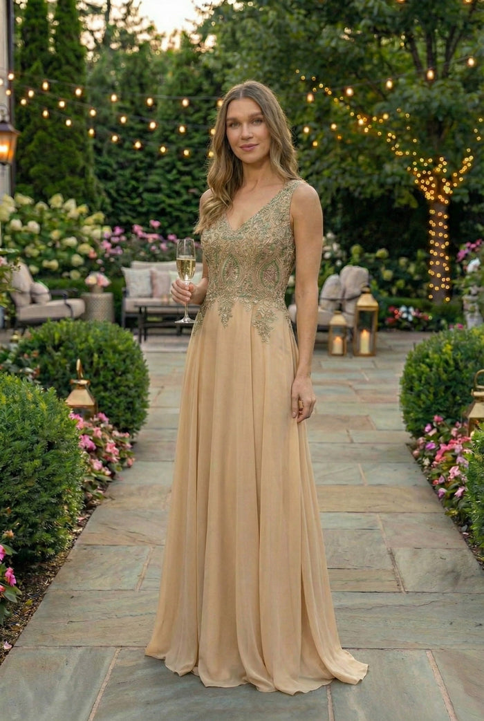 Embroidered Chiffon Dress by Elizabeth K GL2311