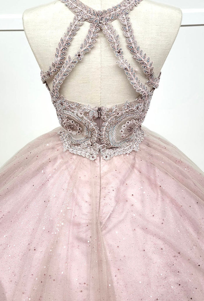 Chicas YG5014 Glitter Formal Wine BallDress Illusion Floor-Length Tulle Dress