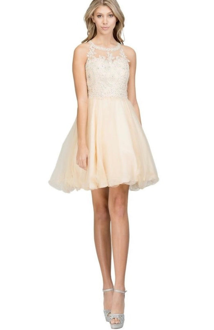 Chicas DM4002 Elegant Formal Halter Short Appliqué Style Tulle Dress