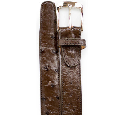 Men's Genuine Ostrich Quill Dress Belt in Brown by Belvedere Shoes